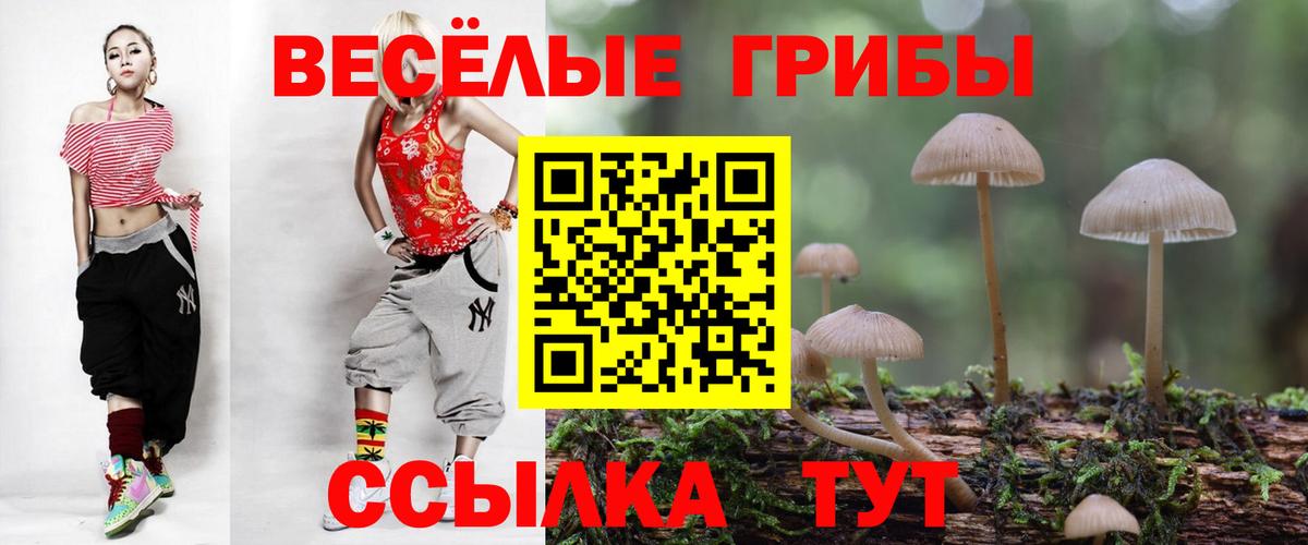 Усть-Илимск  Галлюциногенные грибы Cubensis  Вход с VPN  Галлюциногенные грибы мухоморы 